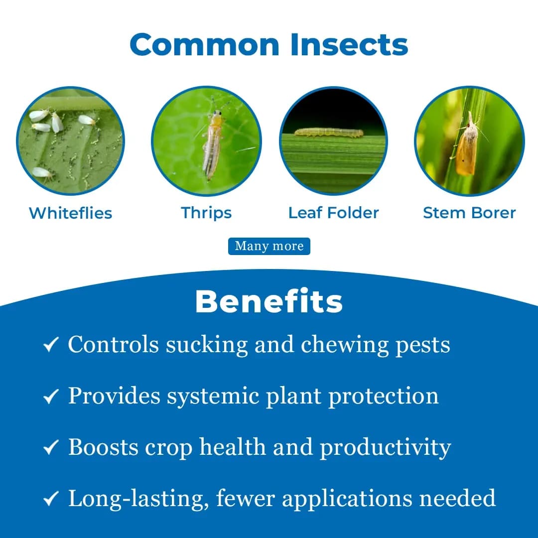 Agriventure Thi Silver (Thiamethoxam 25% Wg) Broad Spectrum Systemic Insecticide - Image 3
