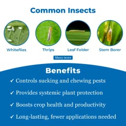 Agriventure Thi Silver (Thiamethoxam 25% Wg) Broad Spectrum Systemic Insecticide 3