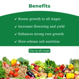 PI Biovita X Granules Ascophyllum Nodosum, Seaweed Extract Granules, and Plant Growth Regulator 4