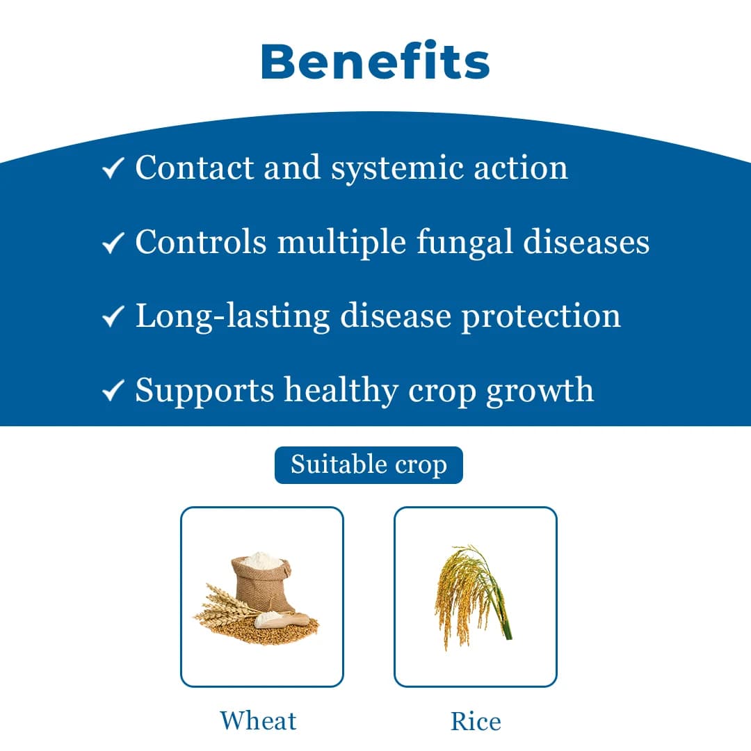 IIL Sofia Hexaconazole 4% + Carbendazim 16% SC. A highly effective fungicide with protective & curative action - Image 3