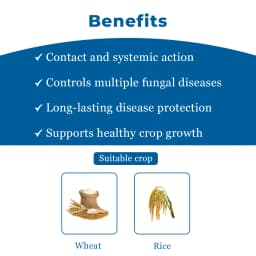 IIL Sofia Hexaconazole 4% + Carbendazim 16% SC. A highly effective fungicide with protective & curative action 3