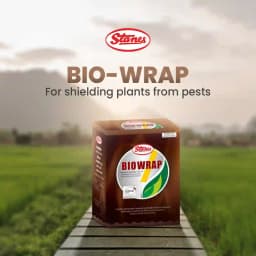 T. Stanes Biowrap Trichoderma Harzianum 1.00% WP Nematode, Biocontrol For Soil Diseases Control 2