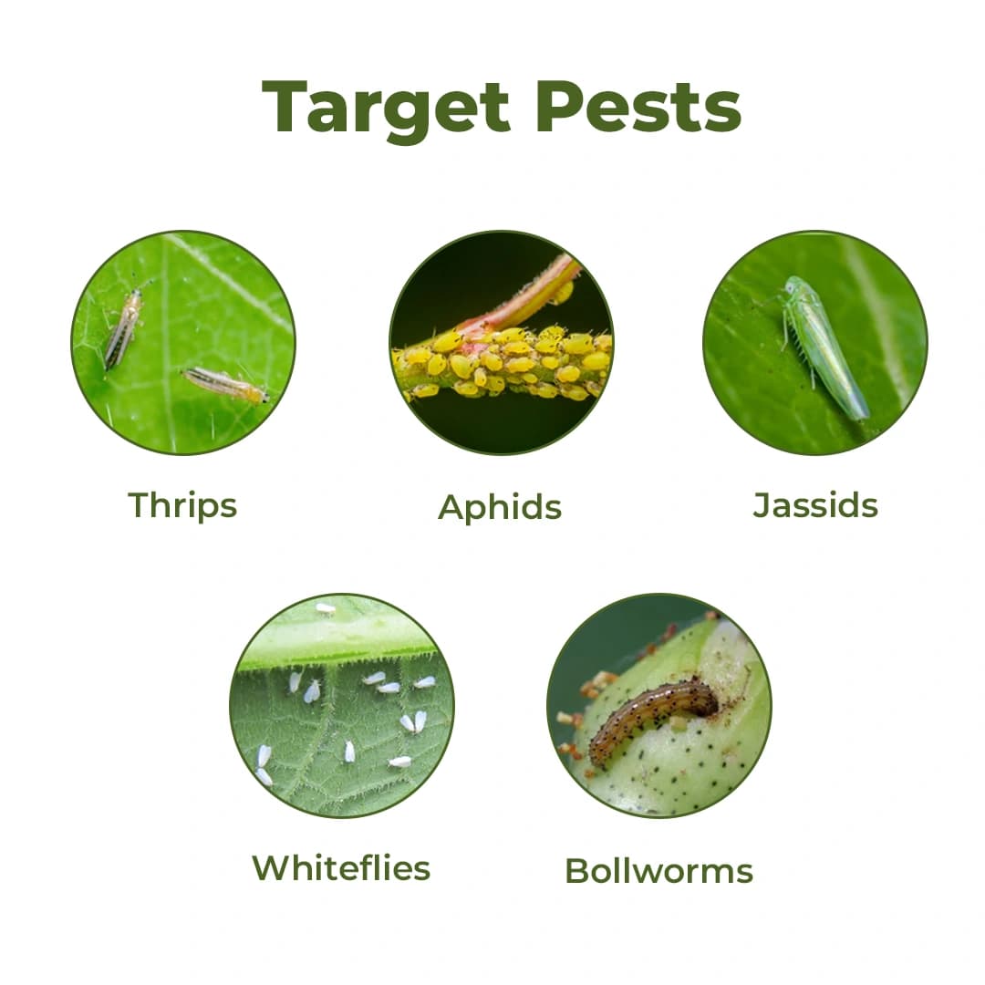 Startek Cyprogold Insecticide - Image 3