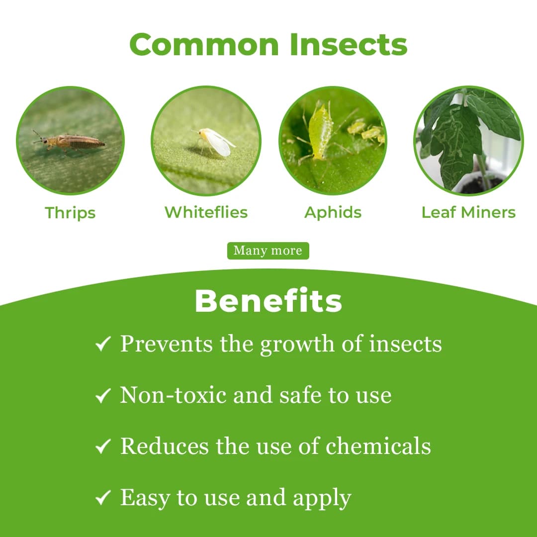 Neemz - Natural and Water-Soluble Neem Oil to Reduce Insect Growth, Effective Against Thrips, Whiteflies, Aphids, Leaf Miners, and Bugs - Image 3