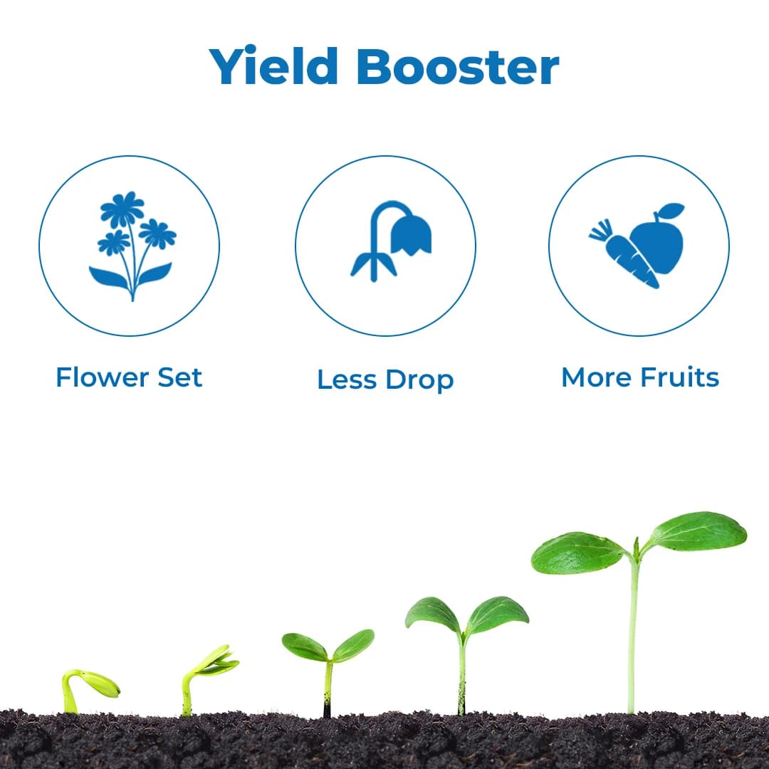 Sumitomo Taboli Plant Growth Promoter, Controls Tree Vigour, Reduces Pruning costs. - Image 3