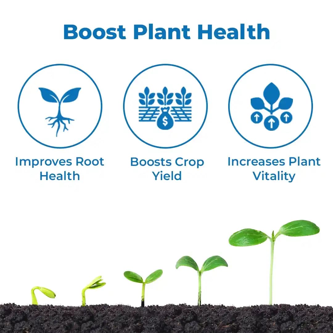 FMC Zinatra 700 (Zinc Oxide Suspension Concentrate 39.5% ww Zinc) , Provides More Zinc To Plants Compared To Traditional Zinc Formulations - Image 3