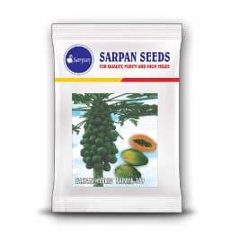 SARPAN Hybrid Papaya Solo-109 Seeds, Small fruits with Uniform size. 3