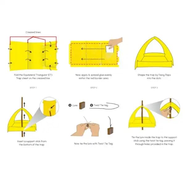 Barrix Trapper ET Trap, Yellow Stem Borer Pheromone Trap & Lure, Effective For Paddy Crop, Long-Lasting Pest Control Solution - Image 6