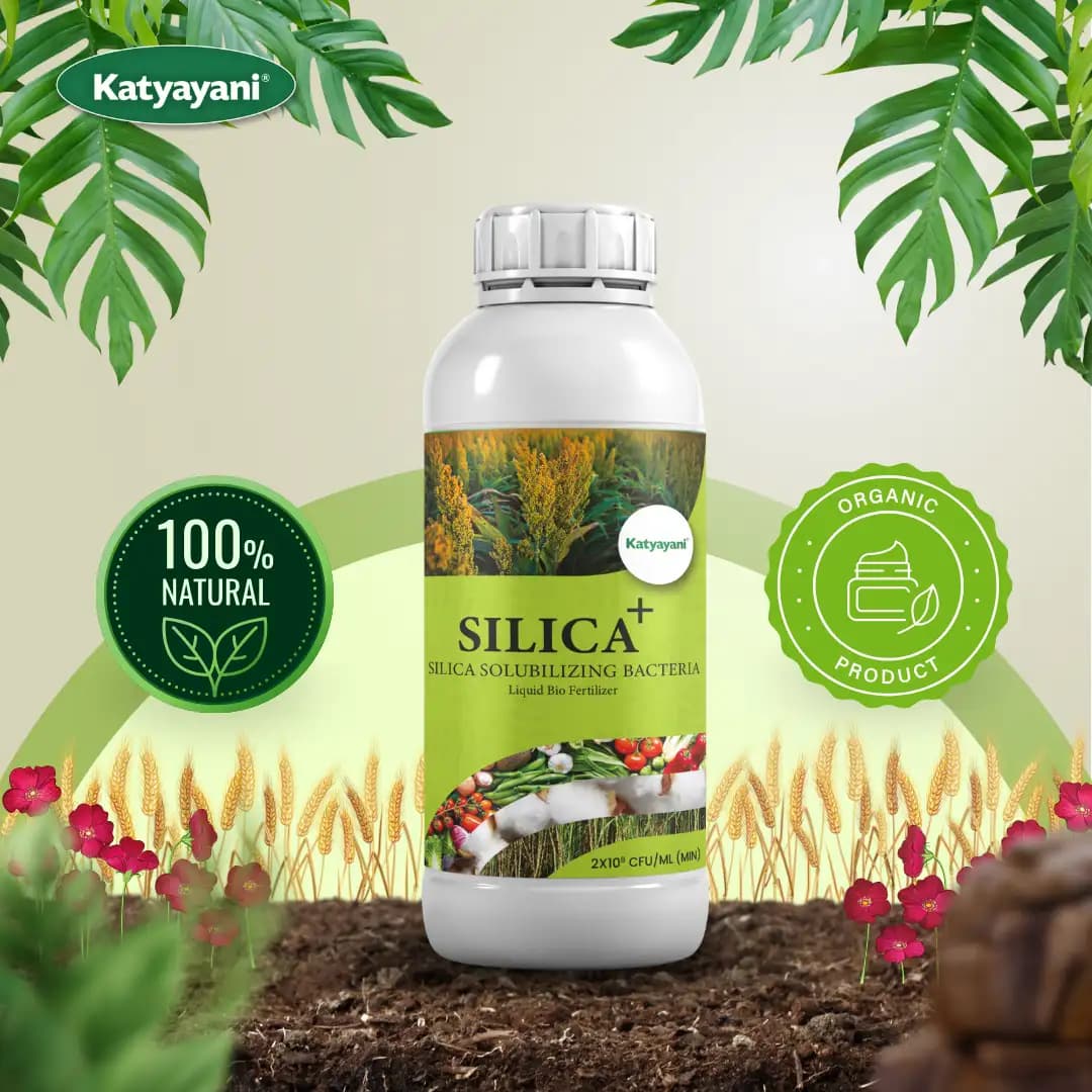 Katyayani Silica Plus Silica Solubilizing Bacteria Bio Fertilizer For Enhanced Silica Availability and Improved Plant Strength and Growth - Image 2
