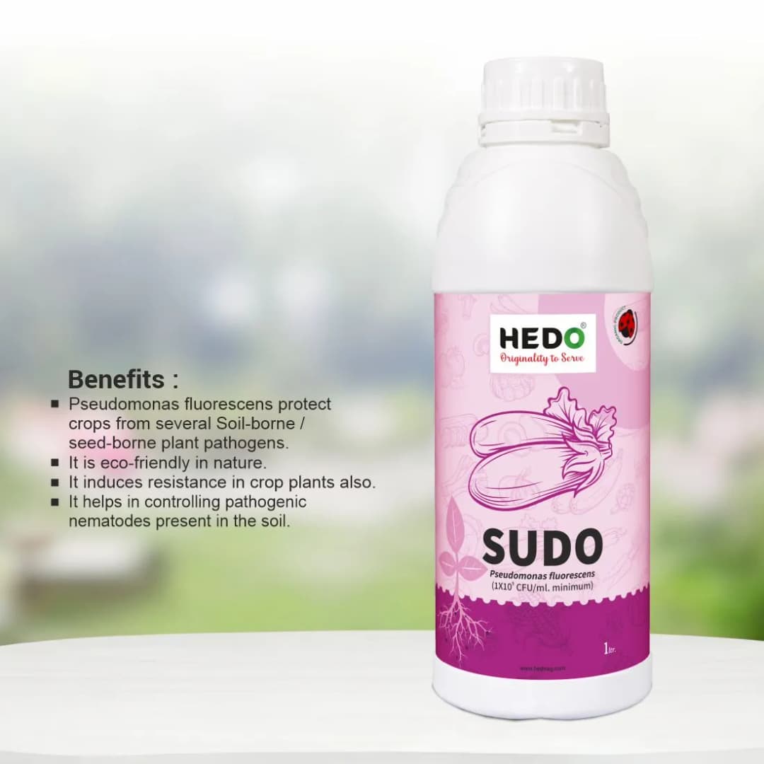 HEDO Sudo (Pseudomonas Fluorescence) Liquid Bio Fungicide, Effective Against A Wide Range Of Soil, Seed, And Air Borne Plant Diseases - Image 3