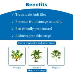 BACF Vector 360 Fruit Block Lures, Bactrocera Dorsalis, Bactrocera Zonata, Bactrocera Correcta Lures 4