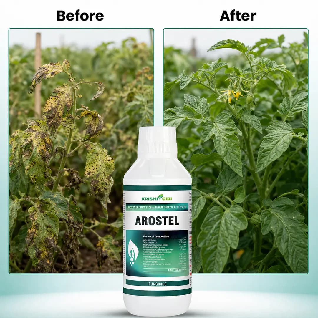 Arostel Fungicide - Azoxystrobin 11% + Tebuconazole 18.3% SC - Image 2