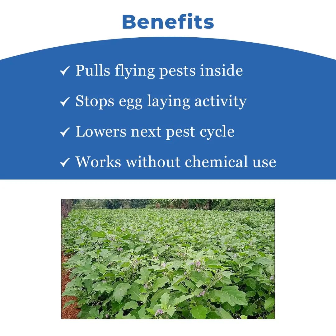 Funnel Pheromone Trap with Brinjal Lucin-O-Lure for (Leucinodes Orbonalis) Brinjal Fruit and Shoot Borer Insect. - Image 4