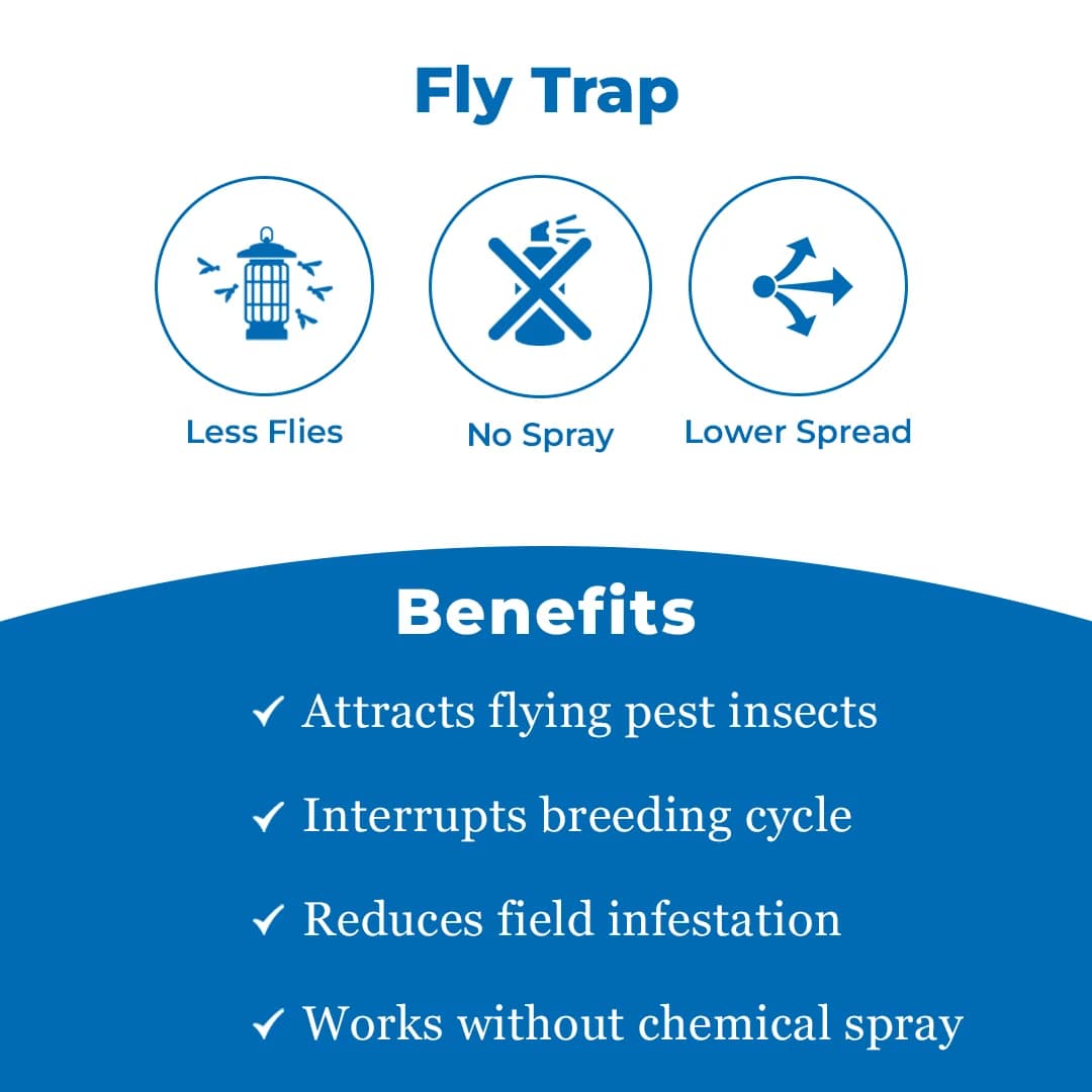 IPM Trap With Melon Fly Pheromone Lure For Controlling Bactrocera Cucurbitae. For Cucumber, Bottle Gourd, Bitter Gourd, Pumpkin, Water Melon - Image 3