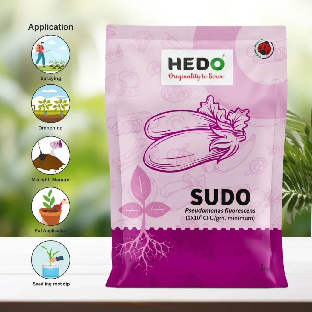 HEDO Sudo Pseudomonas Fluorescence Powder, Bio Fungicide For Agriculture, Garden & All Crops To Control Fungal Disease & Soil Borne Disease - Image 4