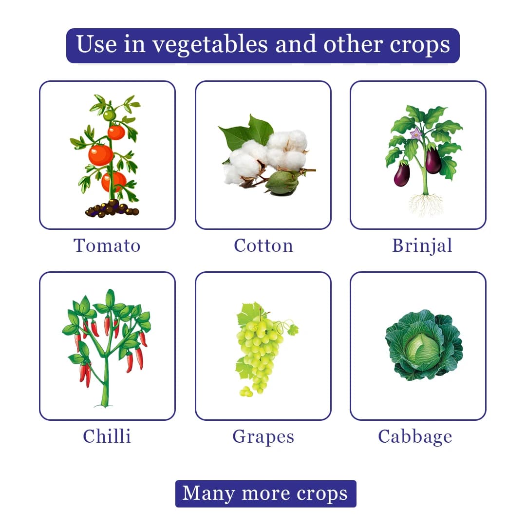 Katyayani Spino 45 Spinosad 45% SC Insecticide, Used For The Control Of Resistant Helicoverpa In Cotton And Red Gram - Image 4