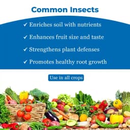 Agroveer Banana Special Booster, ICAR Patented Product, Contains Primary Nutrients, Secondary Nutrients And Micronutrients. 4