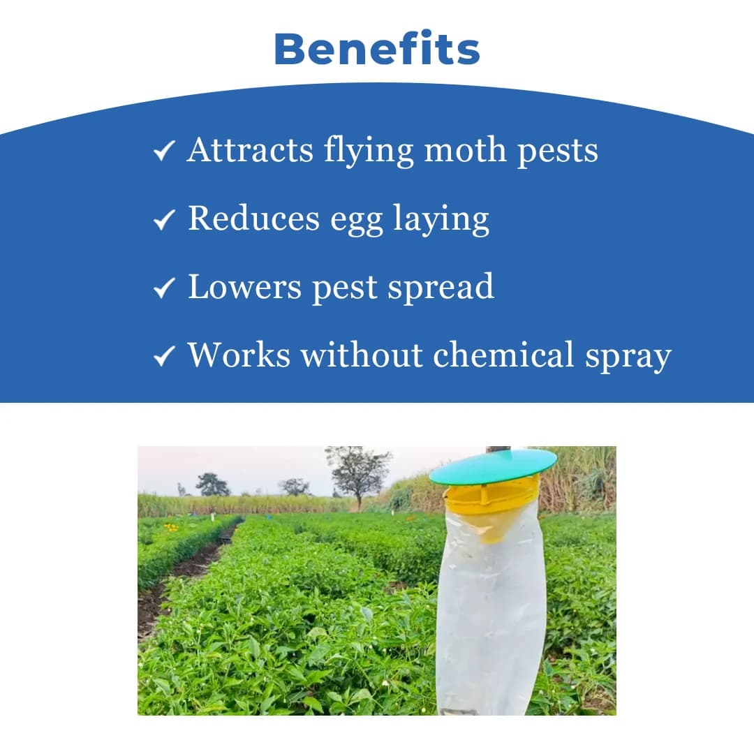 Funnel Trap with Spodo O Lure (Spodoptera Litura Pheromone) For Tobacco, Cotton, Red gram, Tomato and Chilli. - Image 4