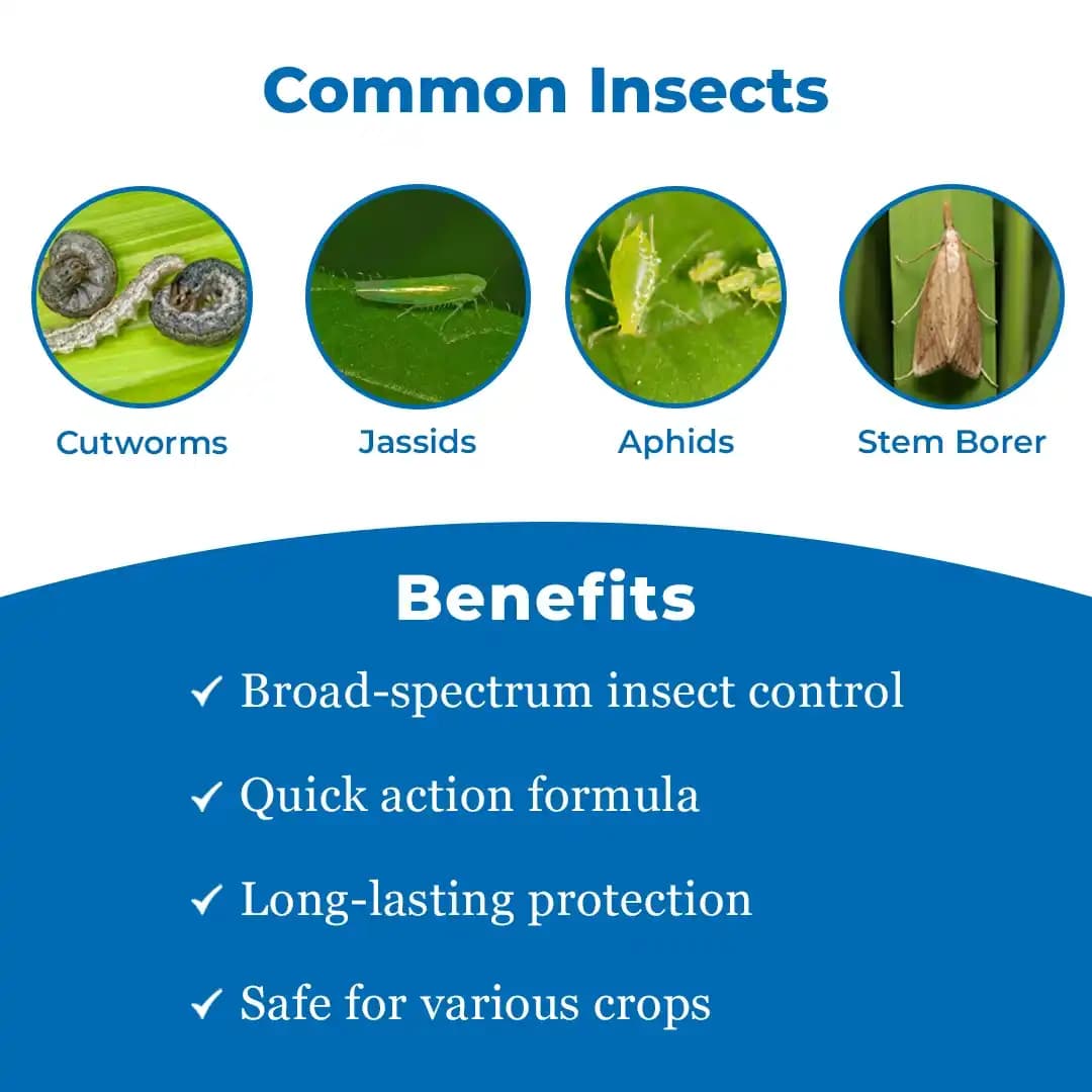 Shree Industries Kaizen Chlorpyriphos 50% EC Insecticide, Contact, Stomach and Fumigation Against Broad Spectrum of Pests and Beetles - Image 3