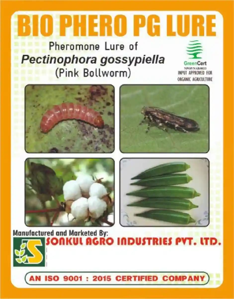 Sonkul Agro Industries Combo Pack of BIO PHERO PG Pectinophora gossypiella (Pink Bollworm) Lure & Funnel Trap for Cotton - Image 2