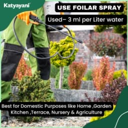 Katyayani Metarhizium Anisopliae Bio Insecticide, (Powder) Talcum Based Powder Formulation Used For Effective Pest Control 7