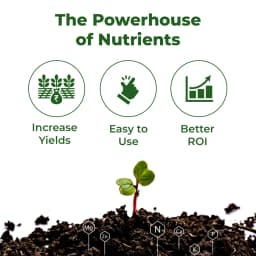Micronutrient Mixture Liquid Fertilizer Faster Growth Promoter For Garden Plants & Farming Crops 3