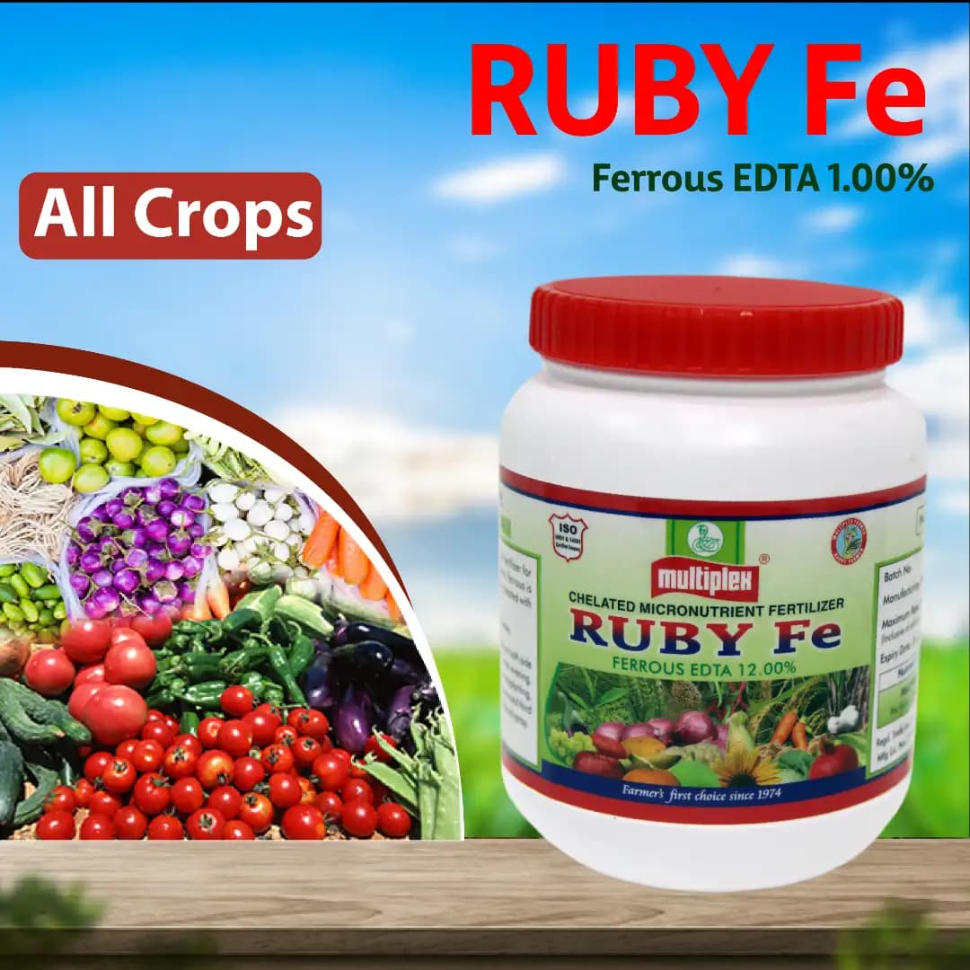 Multiplex Ruby Fe Ferrous EDTA 12% Chelated Micronutrient Fertilizer, High Quality Iron For All Crop - Image 2