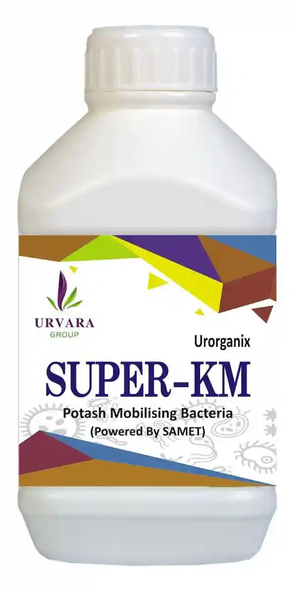 Super KM - Potassium Mobilizing Bacteria (PSB) for potassium solubilization in soil and freeing up potassium for easy absorption - Image 2
