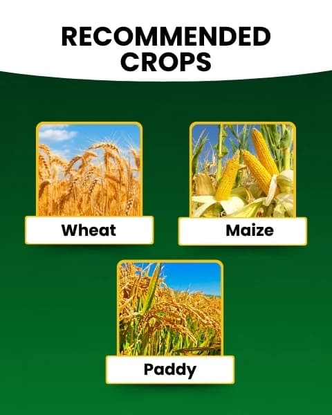 Katyayani NPK 00:52:34 (Mono Potassium Phosphate) Water Soluble Fertilizer For Promoting Flowering and Root Development In All Types of Crops - Image 3
