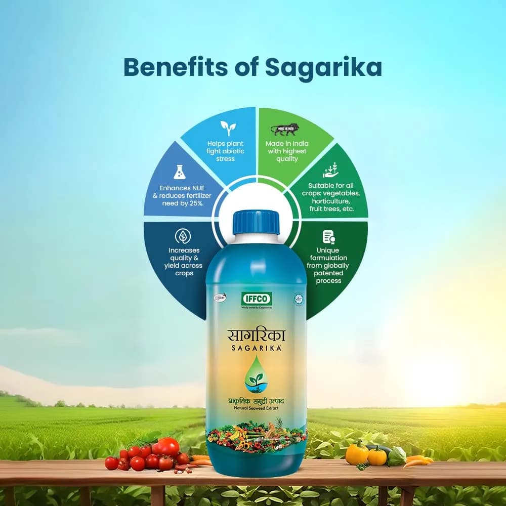 IFFCO Sagarika Seaweed Extract - Image 2