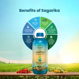IFFCO Sagarika Bio Stimulant, Enhances Nutrient Absorption, Efficiency And Fruiting In Plants 2