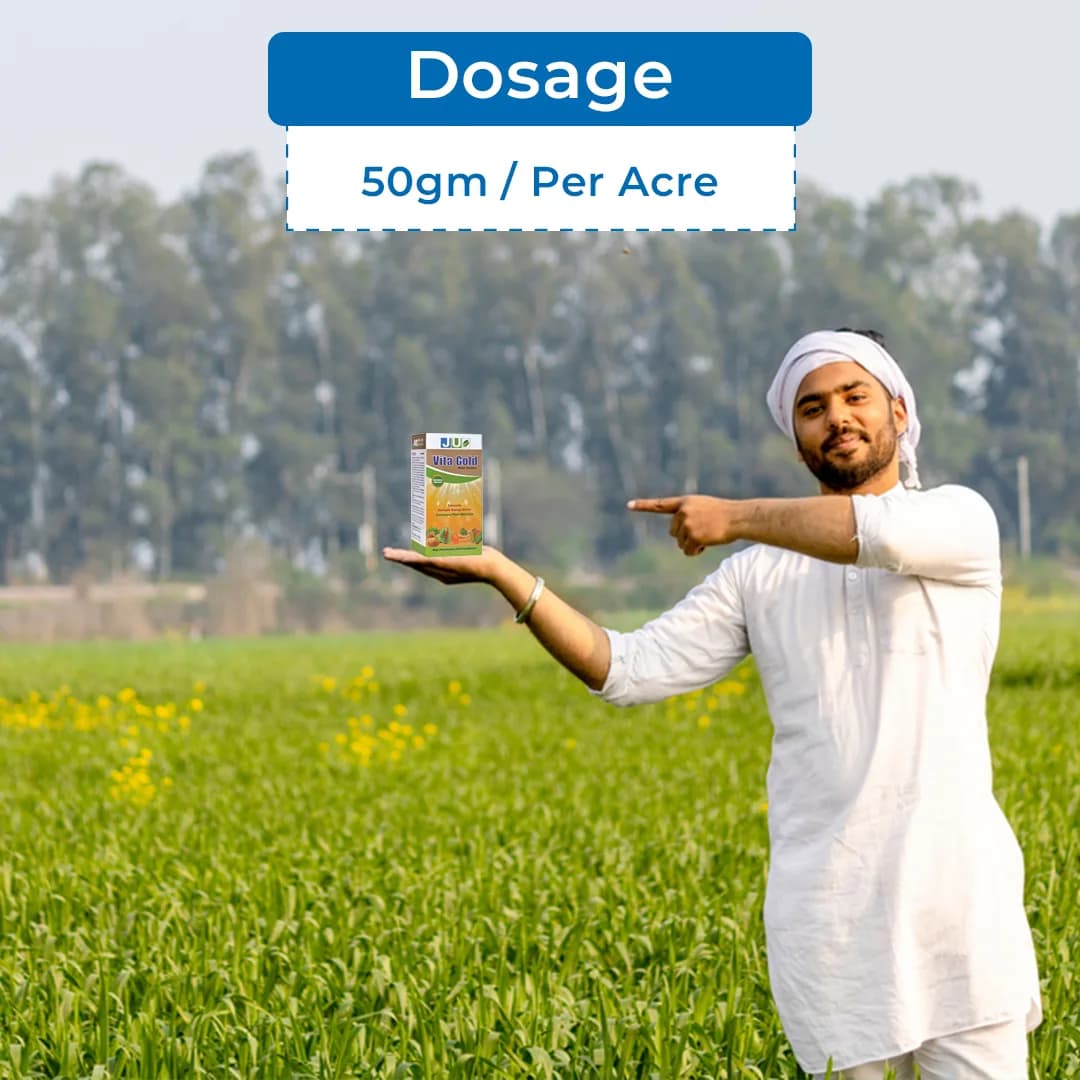 Ju Vita Gold Potassium Humate (68%) and Potassium Oxide (10%), Plant Growth Regulator, Enriched Organic Bio Enhancer - Image 5