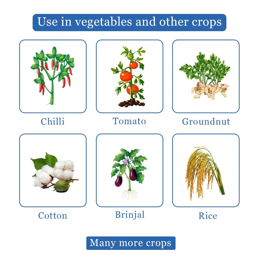 Texan PW Insecticide - Thiamethoxam 70% WS - Image 4