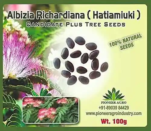 Albizia Richardiana (Hatiamiuki) Tree Seeds enhance the beauty of garden, landscapes, commercial crops - Image 1