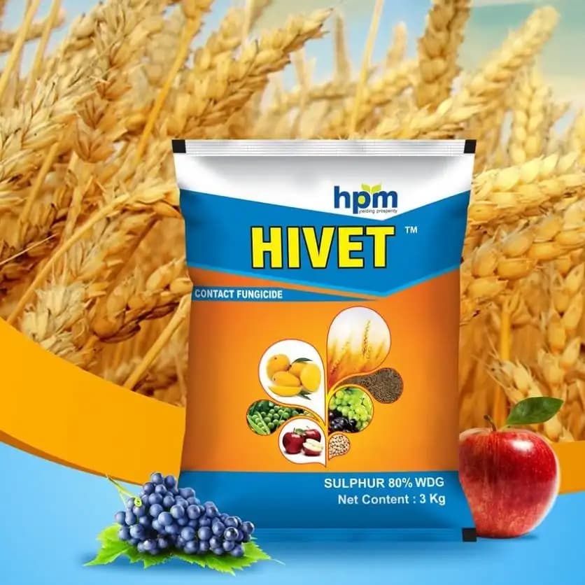 Hpm Hivet Sulphur 80% WDG Multipurpose Fungicide, As Micronutrient, Miticide, and Fungicide. - Image 3