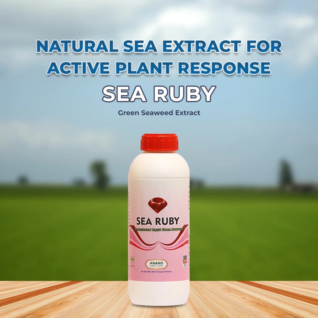 Anand Sea Ruby (Liquid) Green Seaweed Extract, Provides Natural N.P.K, Improves The Development Of Roots And Shoots - Image 2