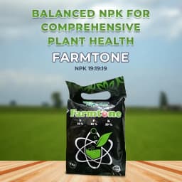 Farmtone NPK 19:19:19 Fertilizer 2