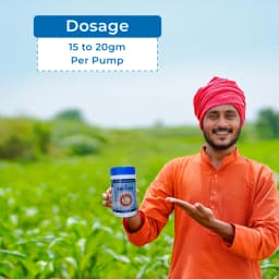 Shivalik Sactara - Thiamethoxam 25% WG Insecticide, Best Use Against Brown Plant Hopper, Green Leaf hopper etc 5