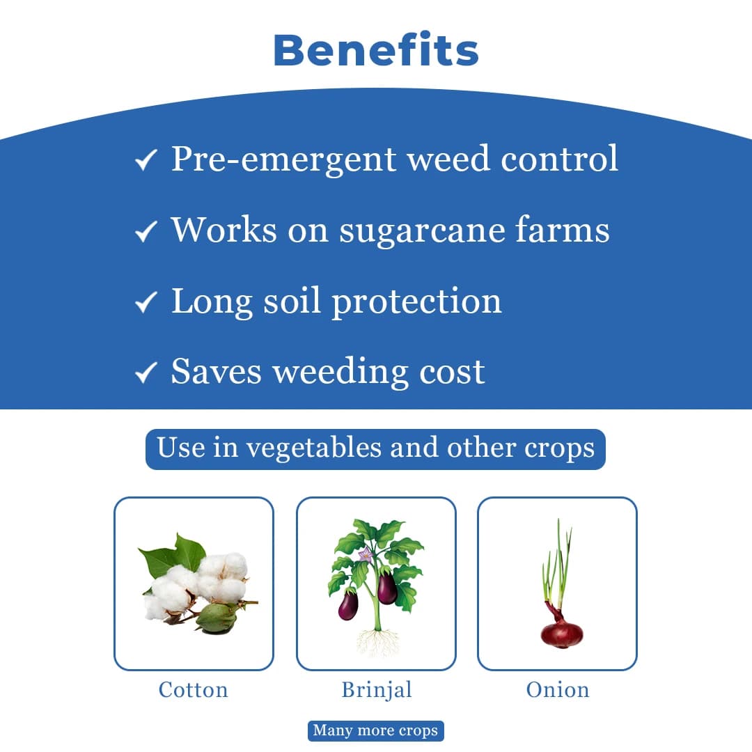 Adama Flamberge Natural Bio-Stimulant, Natural Proteins Into Peptides And Amino Acids In Crops - Image 4