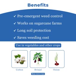 Adama Flamberge Natural Bio-Stimulant, Natural Proteins Into Peptides And Amino Acids In Crops 4