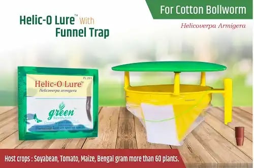 Funnel Trap And Helic O Lure (Helicoverpa Armigera Pheromone) For Brinjal, Gram, Red gram, Cow pea, Ground Nut, Soyabean and Tomato.