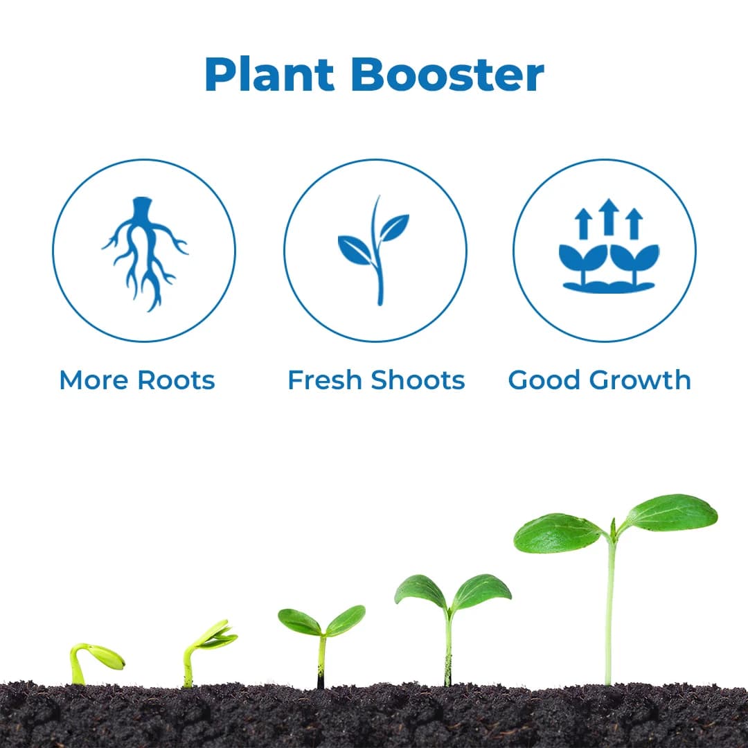 Anand Sea Ruby (Powder), 100% Water Soluble Naturally Derived Green Seaweed Extract, Enhances Yield And Marketable Quality - Image 3