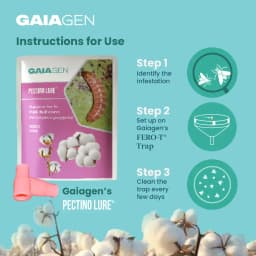 Gaiagen Pheromone Lure for Pink Bollworm (Pectinophora Gossypiella) And Insect Funnel Trap, IMO Certified. 6