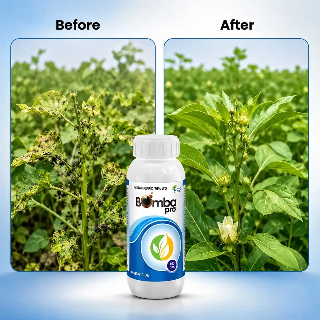 NCS Bomba Pro Insecticide - Image 6
