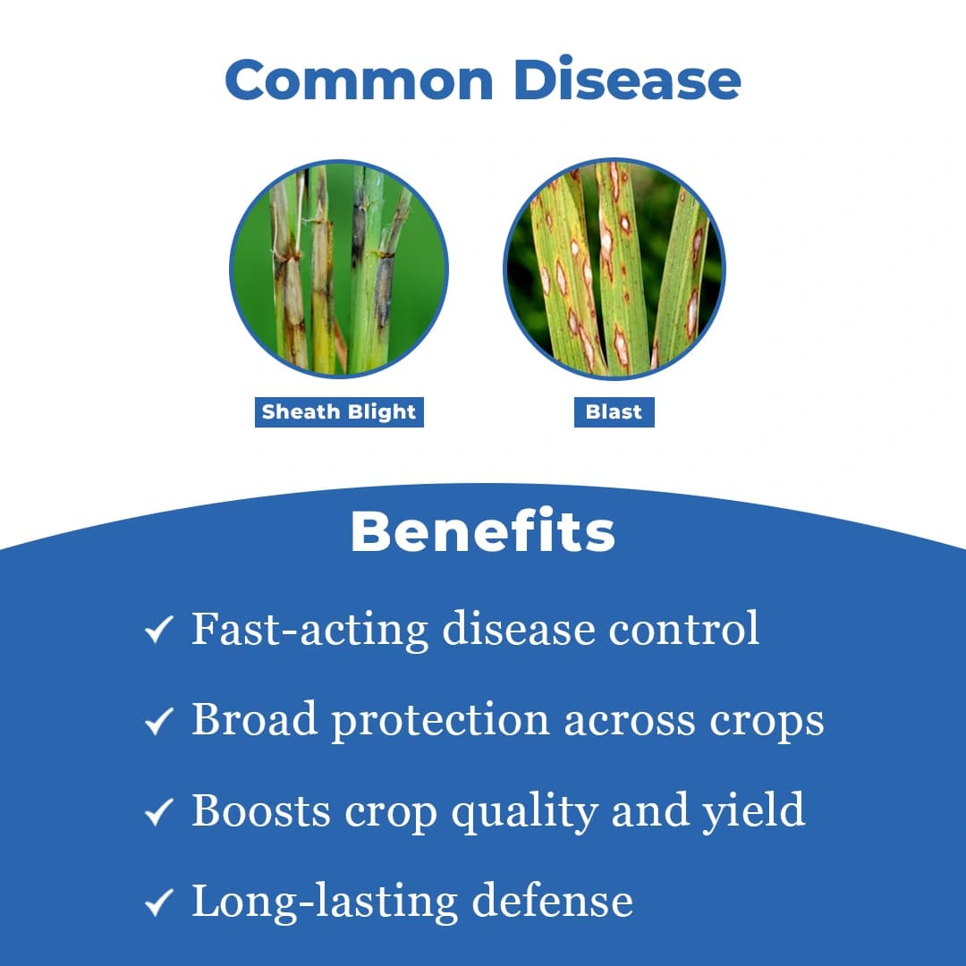 Hexabell - Hexaconazole 4% + Carbendazim 16% SC, Highly Effective Fungicide with Protective & Curative Action - Image 3