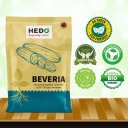 HEDO Beveria (Beauveria Bassiana 1.15% WP) Powder Bio Pesticide For Vegetables, Fruits & All Crops, Broad Spectrum Control 7