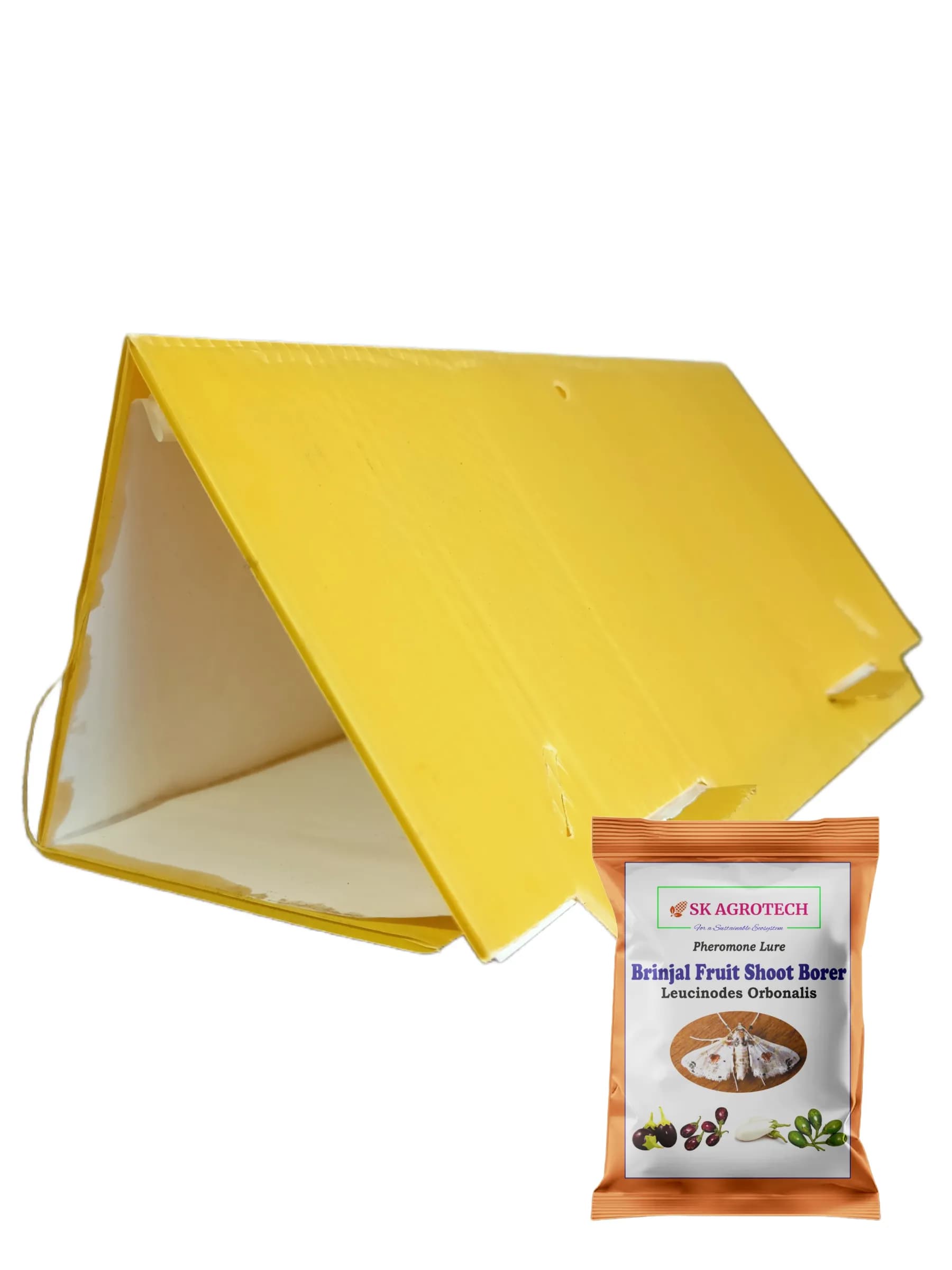 SK Agrotech Leucinodes Orbonalis (Brinjal Fruit and Shoot Borer) Pheromone Trap With Lure - Effective Pest Management Solution - Image 2