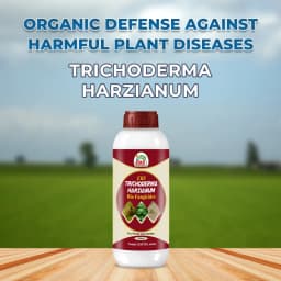 EBS Trichoderma Harzianum Liquid Bio Fungicide, Used As a Fungicide Cum Nematicide 2