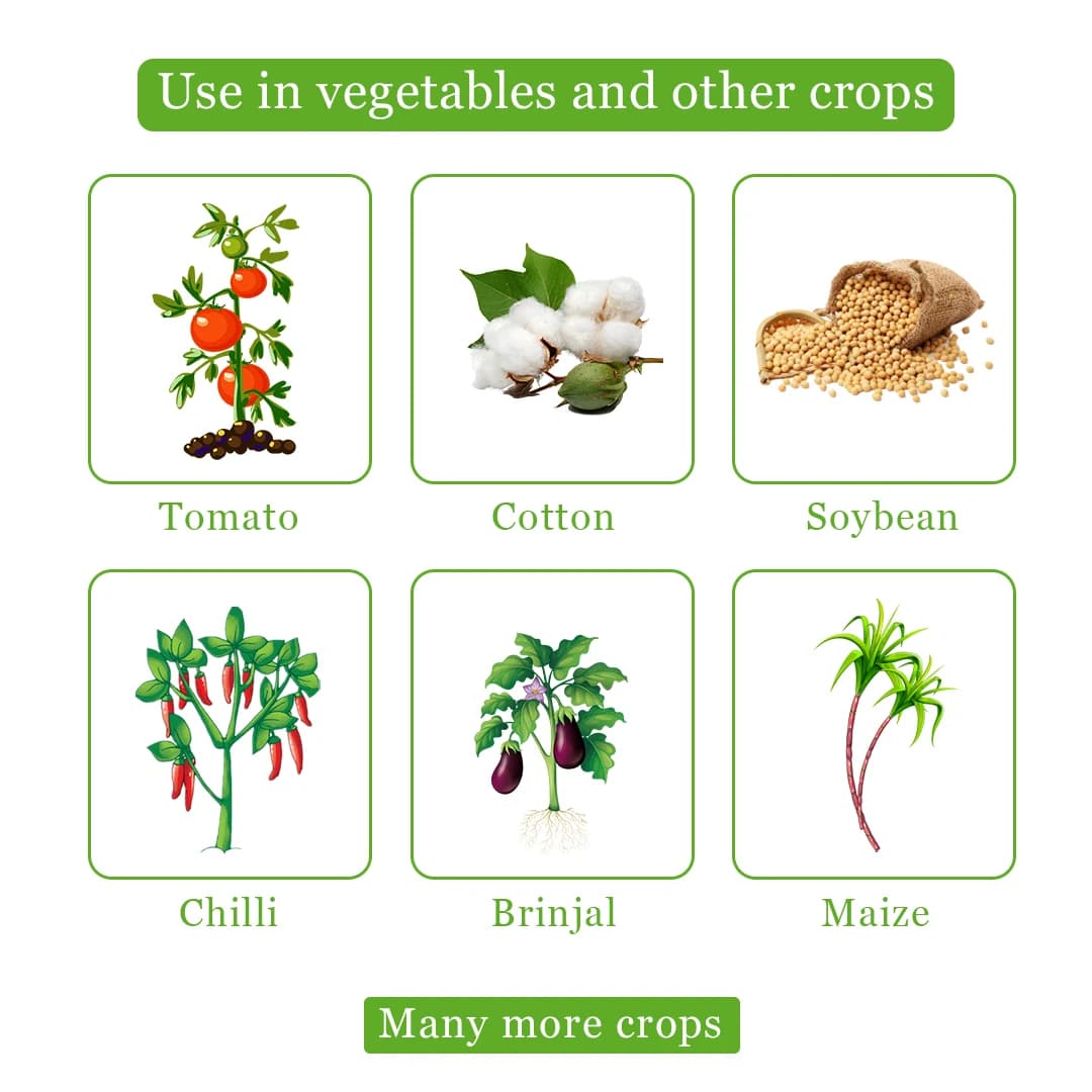 Neemz - Natural and Water-Soluble Neem Oil to Reduce Insect Growth, Effective Against Thrips, Whiteflies, Aphids, Leaf Miners, and Bugs - Image 4