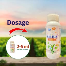 Sumitomo Valida Validamycin 3% L Fungicide, Enhanced Plant Health and Disease Management 3